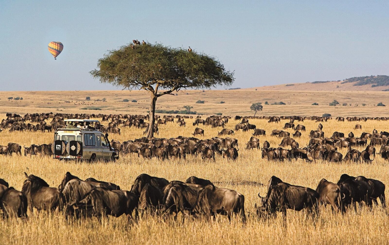 Ultimate Guide to Maasai Mara Kenya Safari: Wildlife Encounters & Breathtaking Landscapes