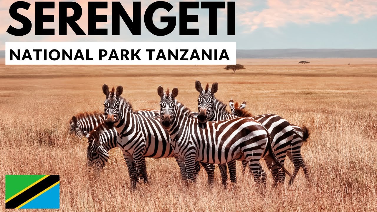 Serengeti National Park : Discover the Abundant Wildlife of Tanzania