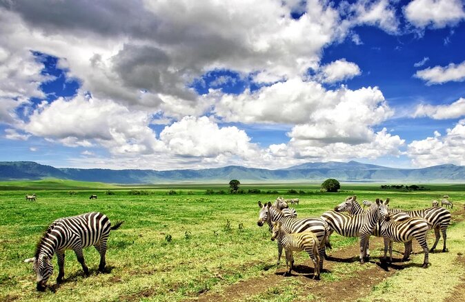 Ngorongoro National Park: Exploring the Serene Wilderness in Tanzania