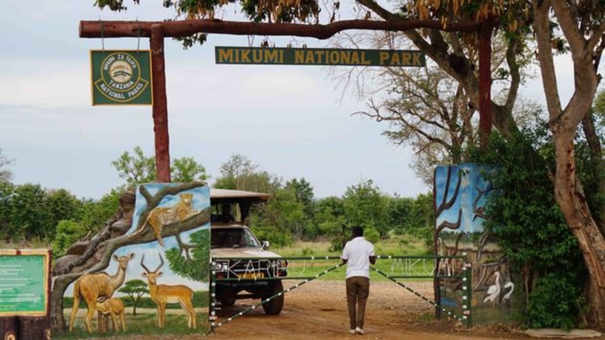 Mikumi National Park: A Wildlife Haven in Tanzania