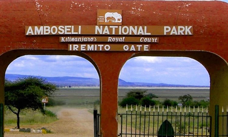 Amboseli National Park Safari : Kenya Attraction