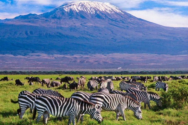 Kilimanjaro National Park Tanzania