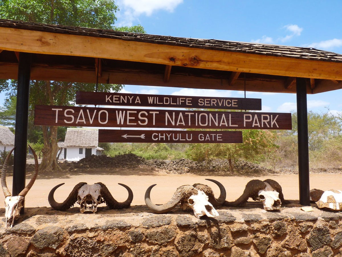 Tsavo West National Park Kenya