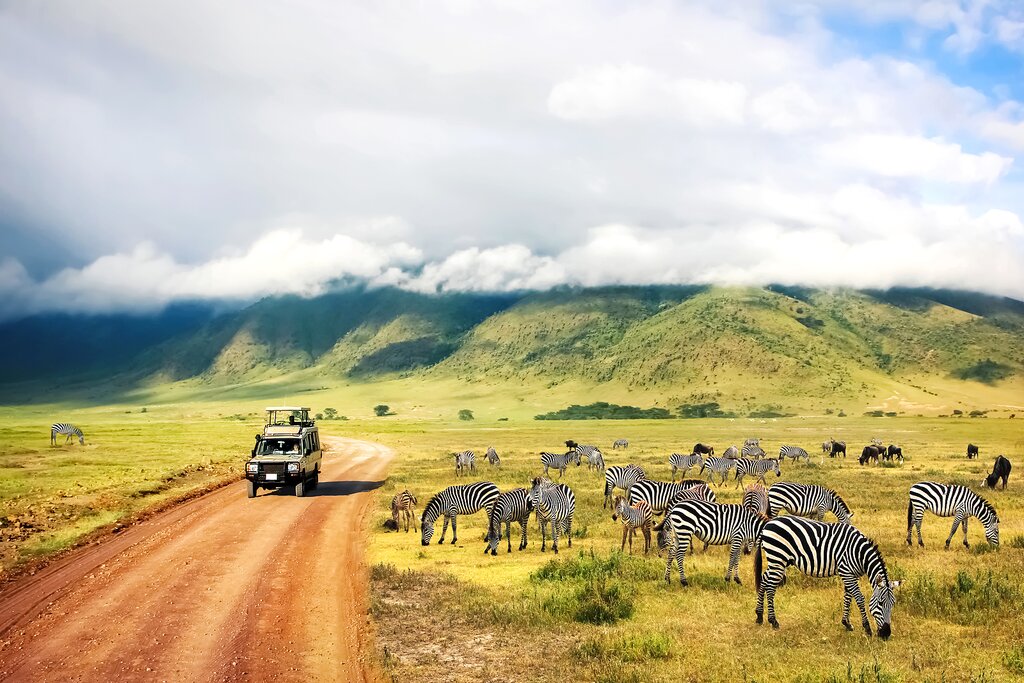 best safari destinations in tanzania