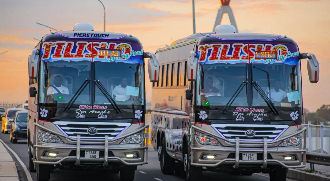 Tilisho Safari