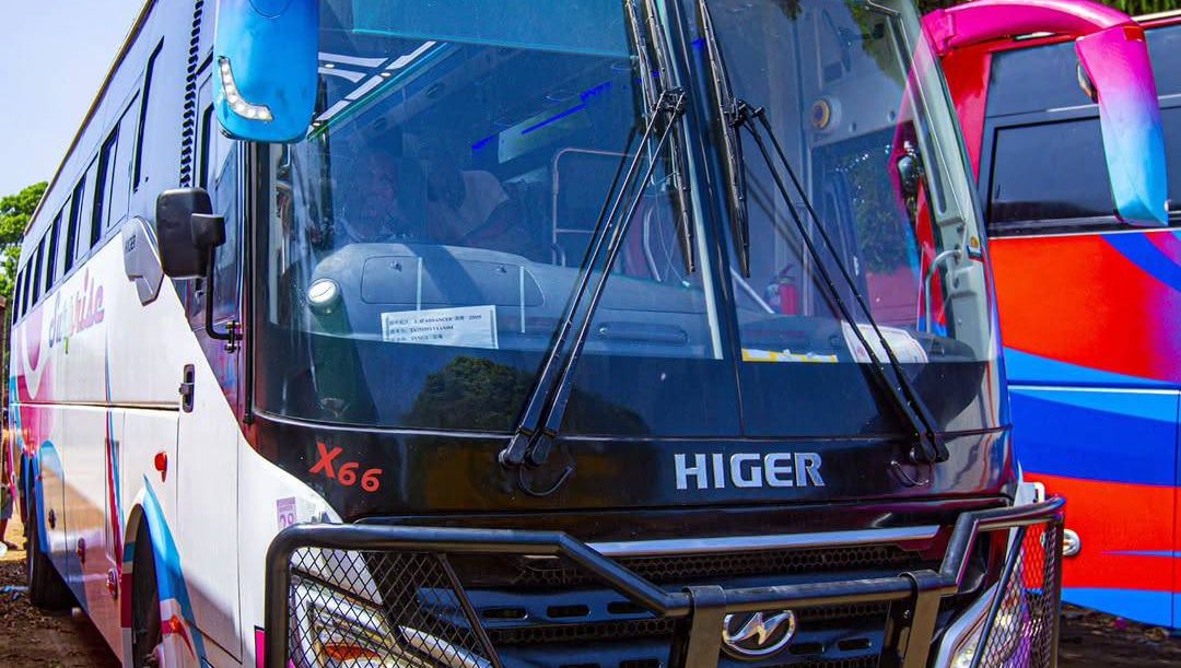 Surprise Luxury Bus